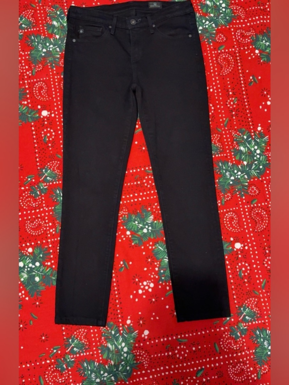 AG Adriano Goldschmied Black Skinny Jeans